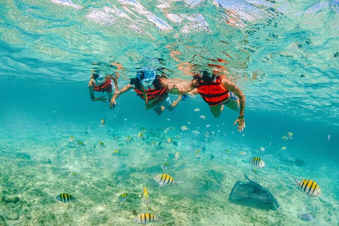 2 Day Combo Tour, Xcaret, Xel-Ha, Xplor and Chichen Itza Option - Xel-Ha: an easy water day with extra charges to watch