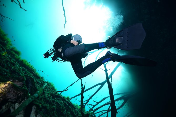 2 dives in Cenote Dos ojos Certified Divers - What the four-person limit changes