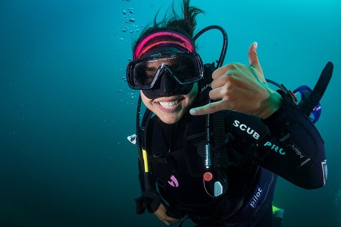 2 Dives in the Cabo Marine Park - Meeting the team in downtown Cabo San Lucas