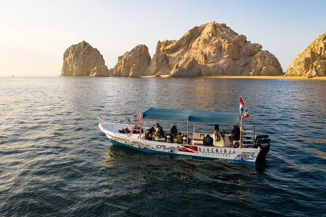 2 Dives in the Cabo Marine Park - Booking timing and cancellation details