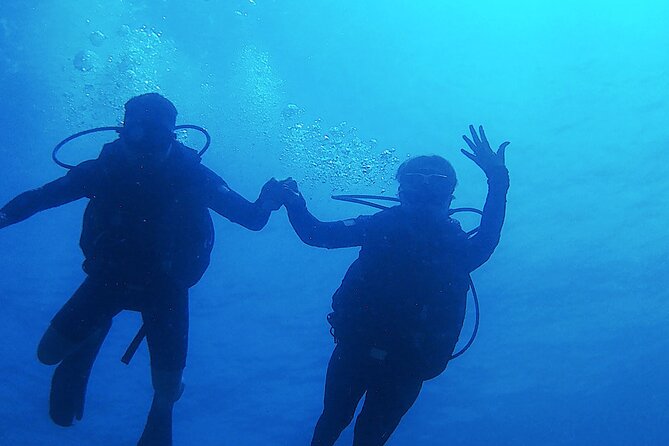 2 Tank Dive (for certified divers) - Why Costa Maya’s reef is worth your time