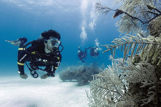 2 Tank Dive (for certified divers) - Cruise timing and the return to port