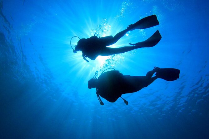 2 Tank Dive (for certified divers) - What $95 buys, and what it does not