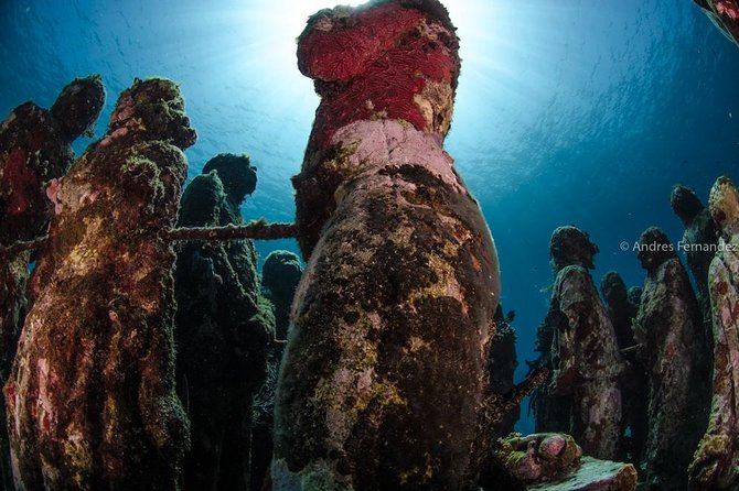 2 Tank Dives MUSA and Manchones reef (Certified divers) - What the $167.28 price really covers