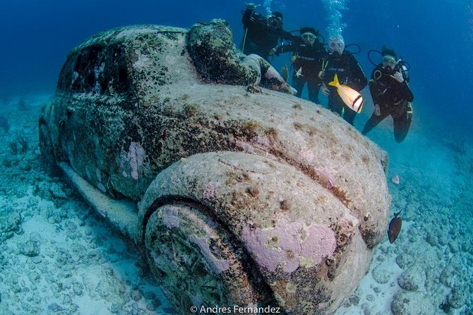 2 Tank Dives MUSA and Manchones reef (Certified divers) - The main weakness is schedule communication