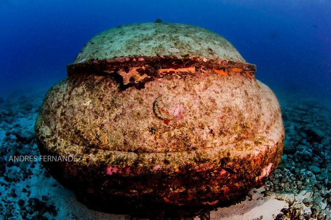 2 Tank Dives MUSA and Manchones reef (Certified divers) - A practical morning from 8:30 am