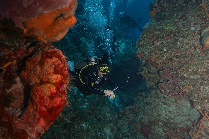 2 Tank Morning Dive: Scuba Diving in Cozumel - The surface break is part of the value
