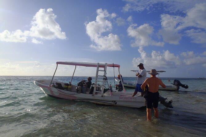 2 Tank Reef Dive in Mexico - Two Reef Sites, Not a Long Boat Excursion