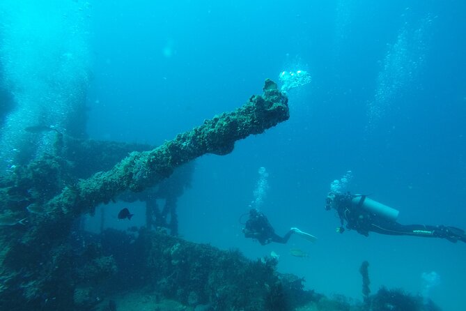 2 Tank Reef Dive in Mexico - What the First 45-Minute Session Is Like