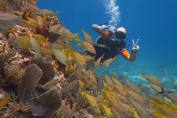 2 Tanks Dives Cancun Underwater Museum for Certified Divers - Equipment, wetsuits, and what the $156 covers
