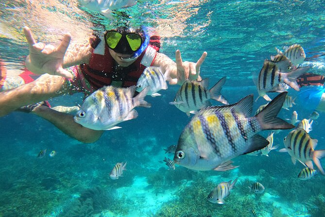3 Hours VIP Semiprivate Tour Isla Mujeres Full Snorkeling Experience - The marine life is the real reward