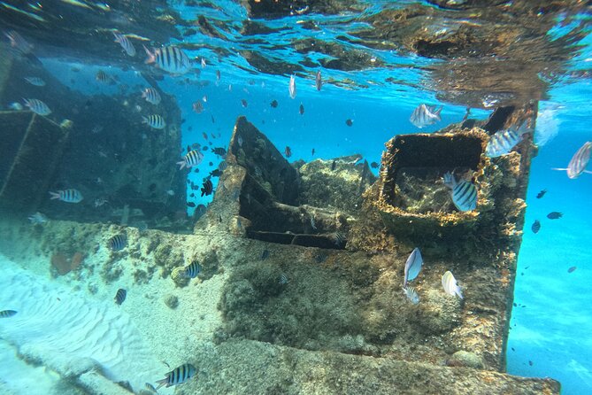 3 in 1 Jungle Tour Adventure Cancun - MUSA, the cenote, and the shipwreck