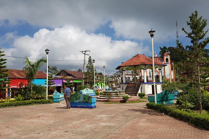 3 Levels of Huatulco the coffee you've been looking for - Traditional food and the extra cost question
