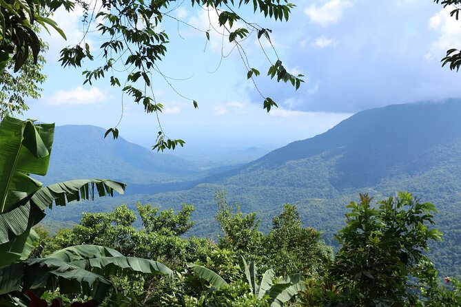 3 Levels of Huatulco the coffee you've been looking for - Guides who shape the day