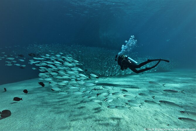 3-Tank Scuba in Marine Reserve and Corridor for Certified Divers - Starting at Manta Scuba Diving at 7:30 am