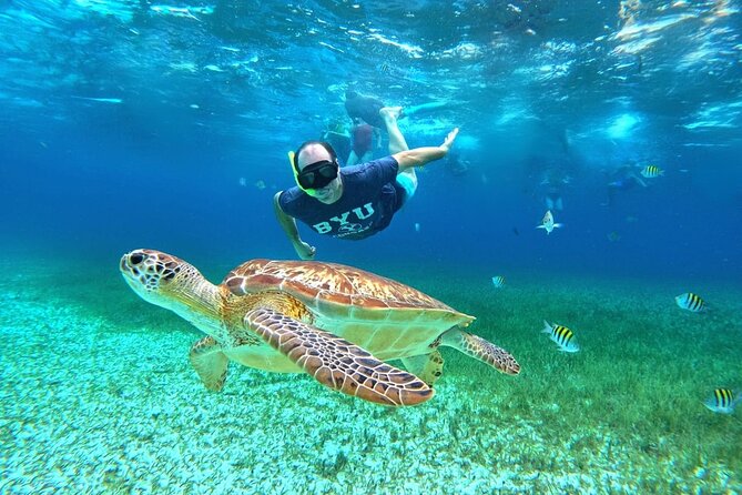 4 Hour Cozumel Turtle Sanctuary Experience on a Luxury Catamarán - Getting to the downtown departure point