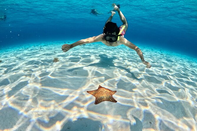 4 Hour Cozumel Turtle Sanctuary Experience on a Luxury Catamarán - Palancar and the problem with busy reef sites