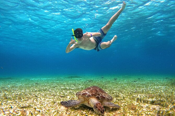 4 Hour Cozumel Turtle Sanctuary Experience on a Luxury Catamarán - Food, drinks, and the boat itself