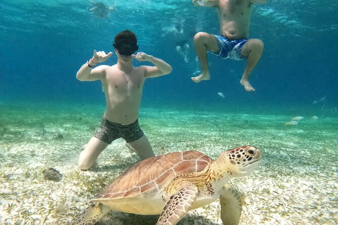 4 Hour Cozumel Turtle Sanctuary Experience on a Luxury Catamarán - Crew service and group atmosphere