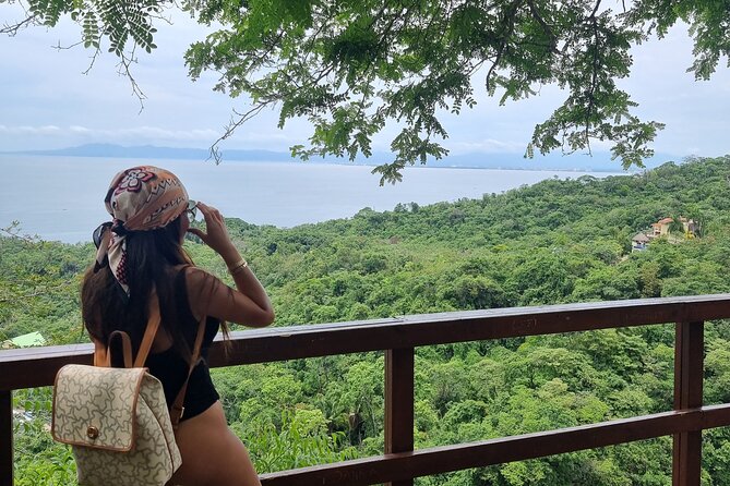 4-Hour Jungle Hike and Waterfall Swim - Who should book this hike?