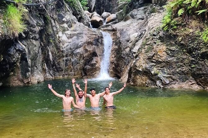 4-Hour Jungle Hike and Waterfall Swim - Palo Maria waterfall and the cool swimming pool