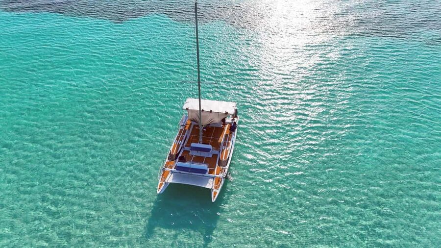 4 Hour Turtle Sanctuary Experience on a Luxury Catamarán - A four-hour route built around the water