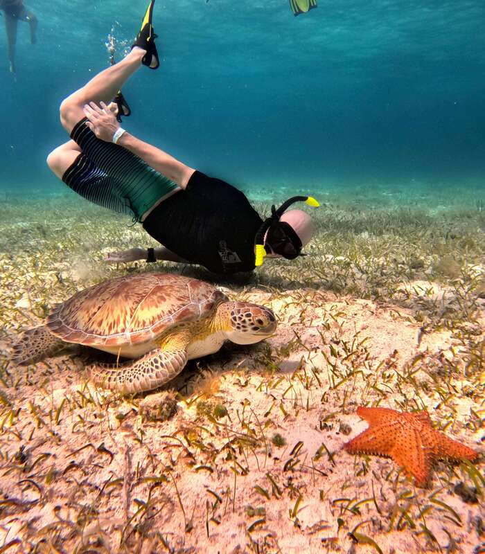 4 Hour Turtle Sanctuary Experience on a Luxury Catamarán - Cielito is the relaxed final stop
