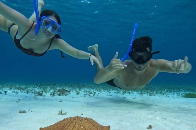 4 hours of shared snorkeling to El Cielo - Palancar Reef: the first look at Cozumel’s sea life