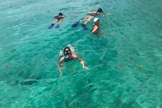 4 hours - Private 48ft Yacht all inclusive in Tulum and Playa del Carmen - Crew service and the feel onboard