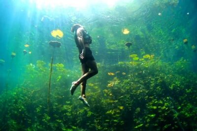 4-in-1 Cenote Tour Guided Experience with Breakfast, Lunch & Wine
