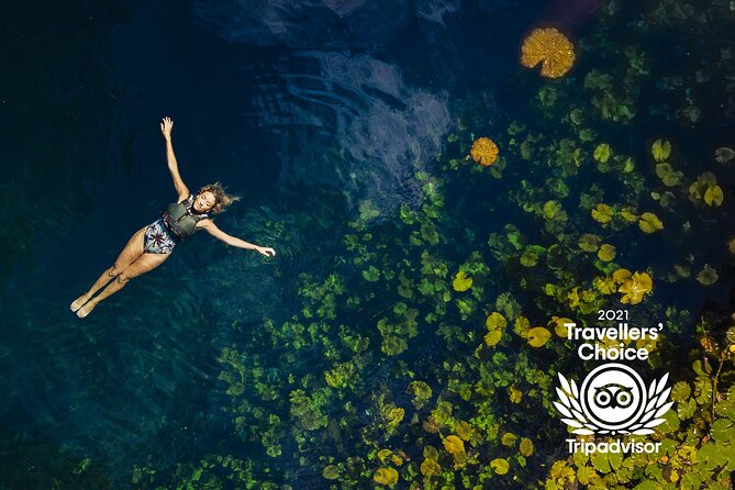 4-in-1 Cenote Tour Guided Experience with Breakfast, Lunch & Wine - Who should book this cenote tour?
