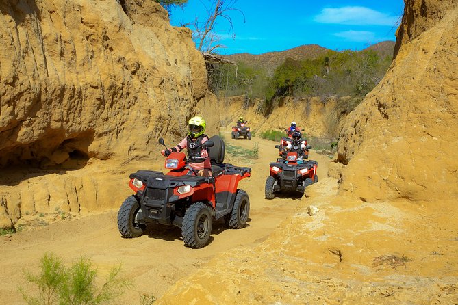 4x4 ATV Adventure with Tequila Tasting and Mexican Buffet Lunch - What the tequila tasting really includes
