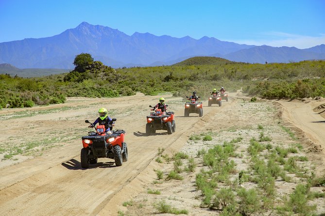 4x4 ATV Adventure with Tequila Tasting and Mexican Buffet Lunch - Price, fees, and the real value