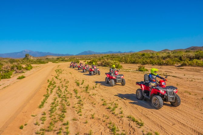 4x4 ATV Adventure with Tequila Tasting and Mexican Buffet Lunch - Who will enjoy this most