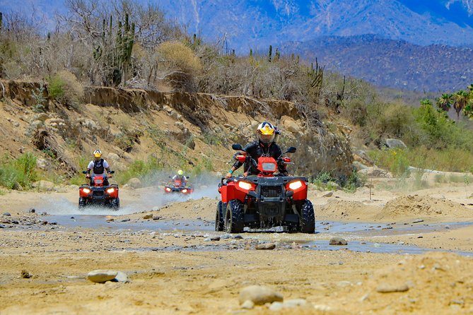 4x4 ATV Adventure with Tequila Tasting and Mexican Buffet Lunch - Booking and cancellation details worth noting