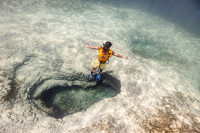 5-in-1 Cancun Snorkeling Tour with Sea Life & Transport Included - Key points to know before you book