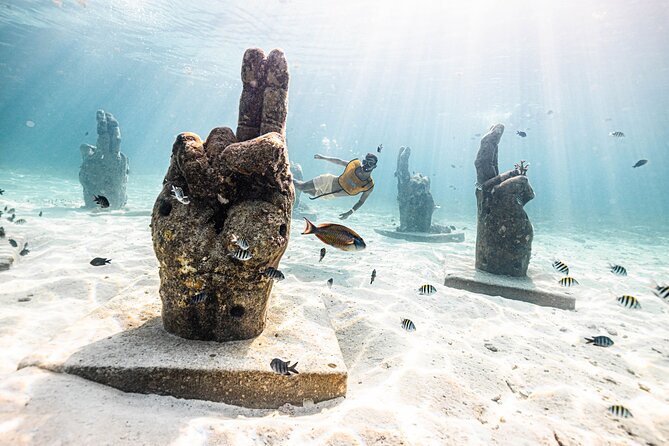 5-in-1 Cancun Snorkeling Tour with Sea Life & Transport Included - Stop three: turtles, rays, and the luck of wildlife