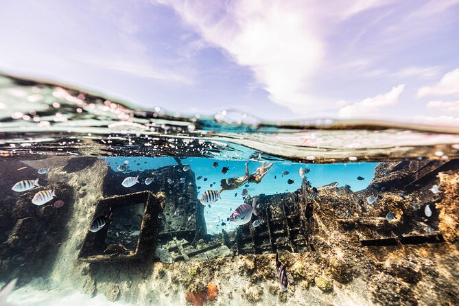 5-in-1 Cancun Snorkeling Tour with Sea Life & Transport Included - Stop five: an underwater cenote