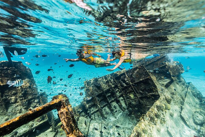5-in-1 Cancun Snorkeling Tour with Sea Life & Transport Included - Is the $79 price good value?