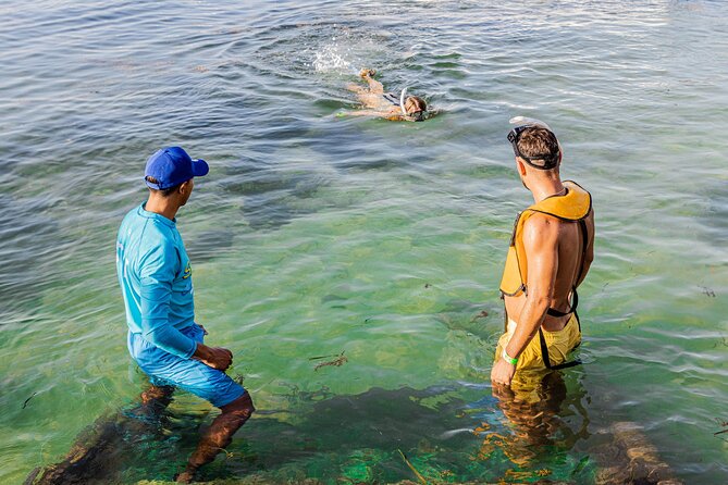 5-in-1 Cancun Snorkeling: Turtles, Reef, Musa, Shipwreck, Cenote - Two MUSA underwater art areas