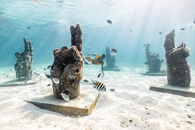 5-in-1 Cancun Snorkeling: Turtles, Reef, Musa, Shipwreck, Cenote - The shipwreck stop is often the surprise