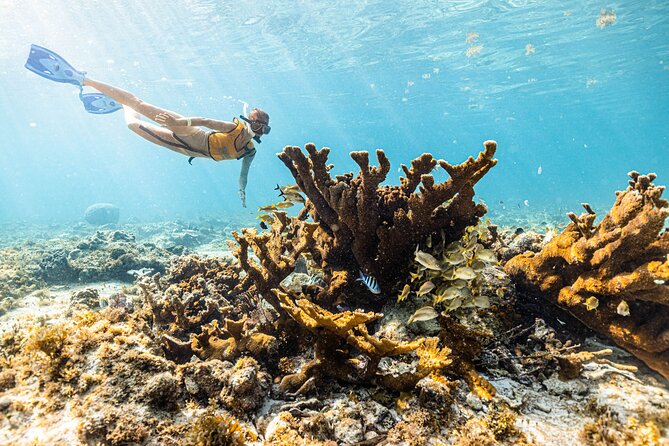 5-in-1 Cancun Snorkeling: Turtles, Reef, Musa, Shipwreck, Cenote - The cenote is the most debated stop