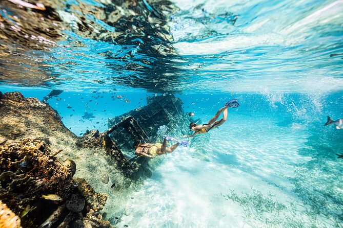 5-in-1 Cancun Snorkeling: Turtles, Reef, Musa, Shipwreck, Cenote - Guides, boat crew, and the human side of the trip