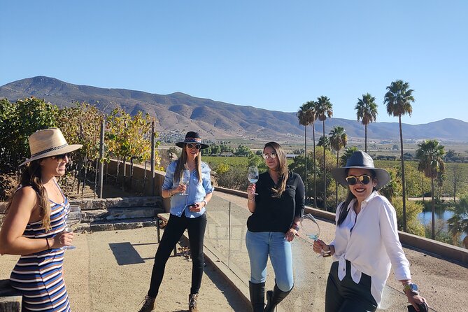 $99 Valle de Guadalupe Wine Tours - DayTrip to baja from San Diego - Bruma Valle de Guadalupe: wine in the cellar