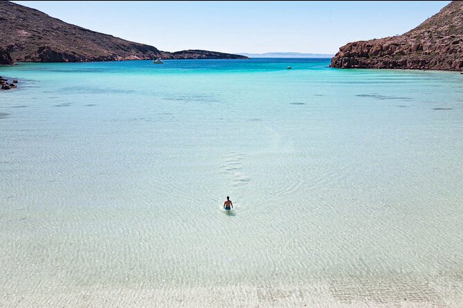 Adventure to Espiritu Santo Island: Snorkel with Sea Lions and Beach - Key points before you book