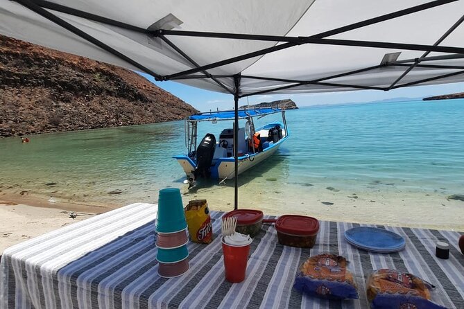 Adventure to Espiritu Santo Island: Snorkel with Sea Lions and Beach - Espiritu Santo and Isla Partida: more than a snorkel stop