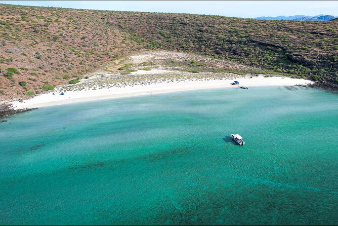 Adventure to Espiritu Santo Island: Snorkel with Sea Lions and Beach - Beach lunch with ceviche and a vegan option