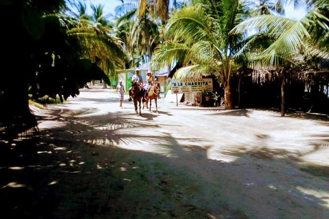 Afro-Mex Village Experience -Horseback Ride -Turtle Hatch & Crocs - Starting with pickup from your hotel or cruise port