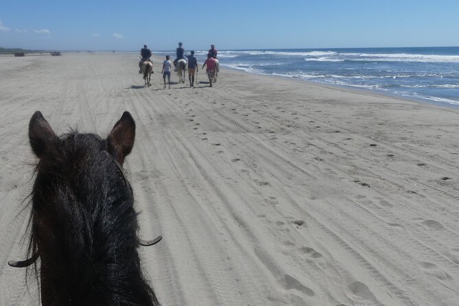 Afro-Mex Village Experience -Horseback Ride -Turtle Hatch & Crocs - Baby turtle release: meaningful, but not guaranteed