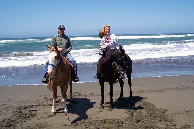 Afro-Mex Village Experience -Horseback Ride -Turtle Hatch & Crocs - What the guides add to the day